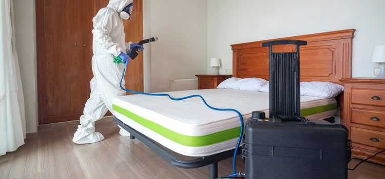 Best Bed Bug Exterminator in Rocky Ford, OK